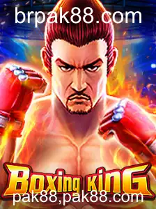 Descubra o Fascinante Mundo do BoxingKing