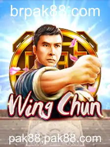 WingChun: Explorando as Dinâmicas e Regras do Jogo